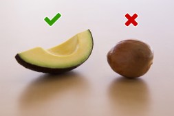 avocado-seed